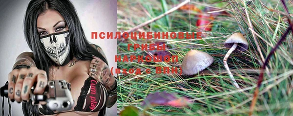 PSILOCYBIN Богородск