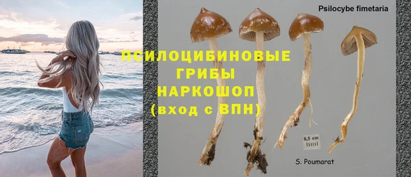 PSILOCYBIN Богородск